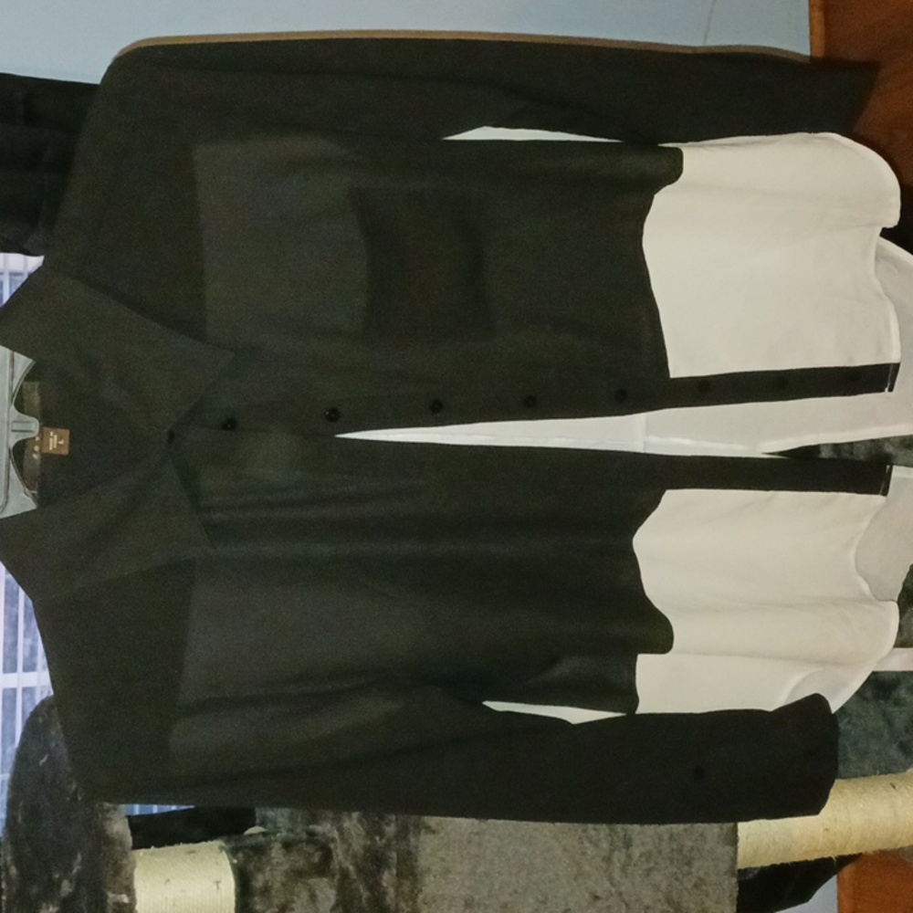 Button up sheer dress shirt